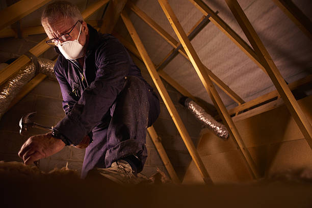Best DIY Insulation Kits and Guidance in Tornado, WV
